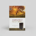 Amplified Study Bible